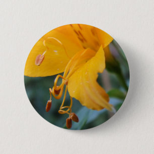 Macaron Rond 5 Cm Bouton Détails du fleur