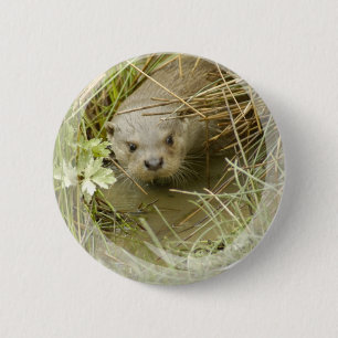 Macaron Rond 5 Cm Bouton d'habitat de loutre de rivière