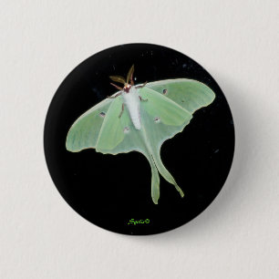 Macaron Rond 5 Cm Bouton d'insecte Luna Moth