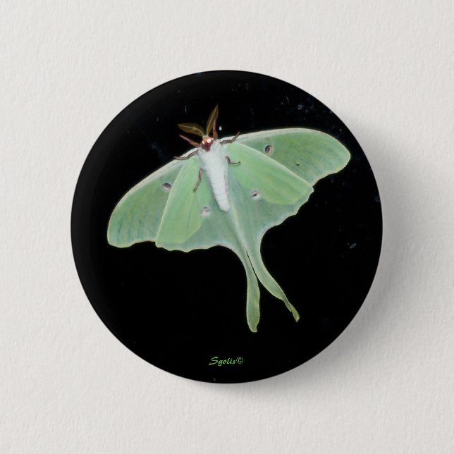Macaron Rond 5 Cm Bouton d'insecte Luna Moth (Devant)
