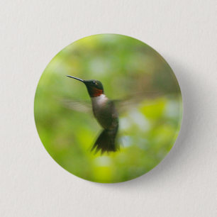 Macaron Rond 5 Cm Bouton d'oiseau-colibri de Ruby-Homme