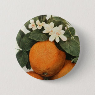 Macaron Rond 5 Cm Bouton d'ORANGES