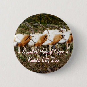 Macaron Rond 5 Cm Bouton d'oryx à cornes scimitar