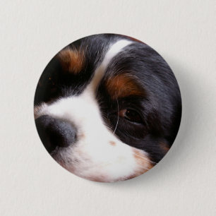 Macaron Rond 5 Cm Bouton du Roi Charles Cavalier Spaniel Round