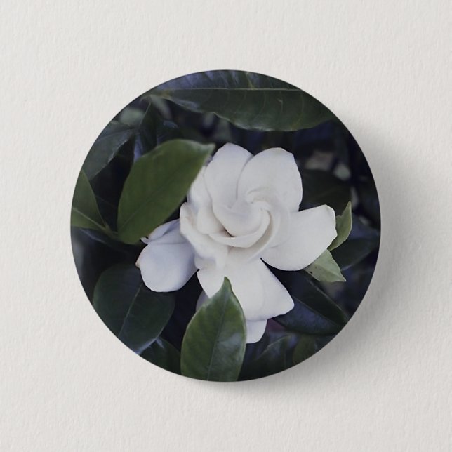 Macaron Rond 5 Cm Bouton Enchanter Gardenia (Devant)