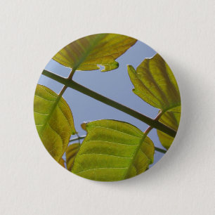 Macaron Rond 5 Cm Bouton Feuille ressort