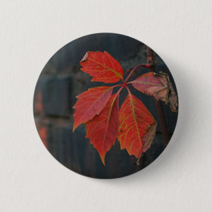 Macaron Rond 5 Cm Bouton Feuille rouge
