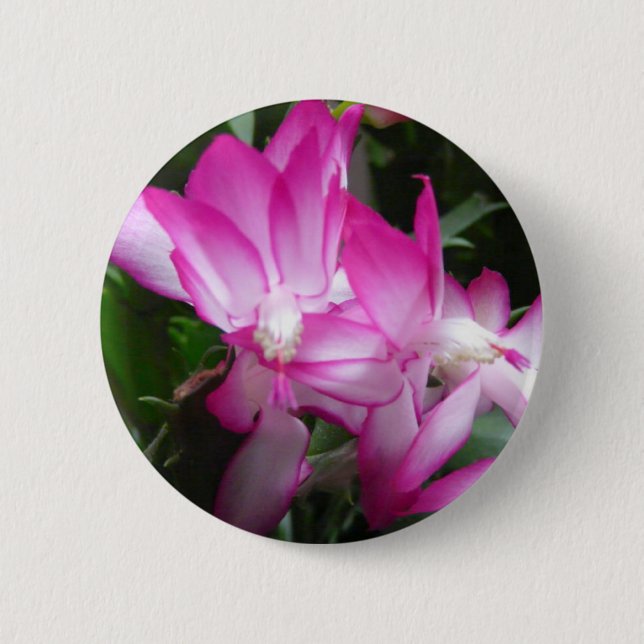 Macaron Rond 5 Cm Bouton Fleurs de cactus de Noël (Devant)