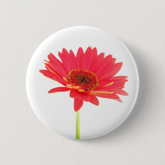 Macaron Rond 5 Cm Bouton floral de marguerite rouge de Gerbera (Devant)