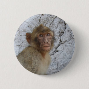 Macaron Rond 5 Cm Bouton Gibraltar Monkey