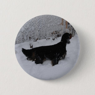 Macaron Rond 5 Cm Bouton Gordon Setter