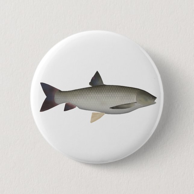 Macaron Rond 5 Cm Bouton Grass Carp (Devant)