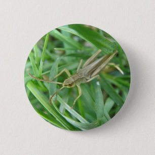Macaron Rond 5 Cm Bouton Grasshopper
