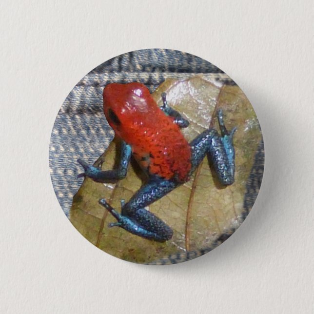 Macaron Rond 5 Cm Bouton Grenouille aux Jeans bleus (Devant)