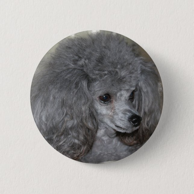 Macaron Rond 5 Cm Bouton gris de caniche (Devant)