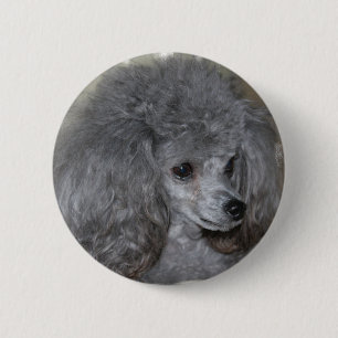 Macaron Rond 5 Cm Bouton gris de caniche