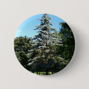 Macaron Rond 5 Cm Bouton impeccable bleu