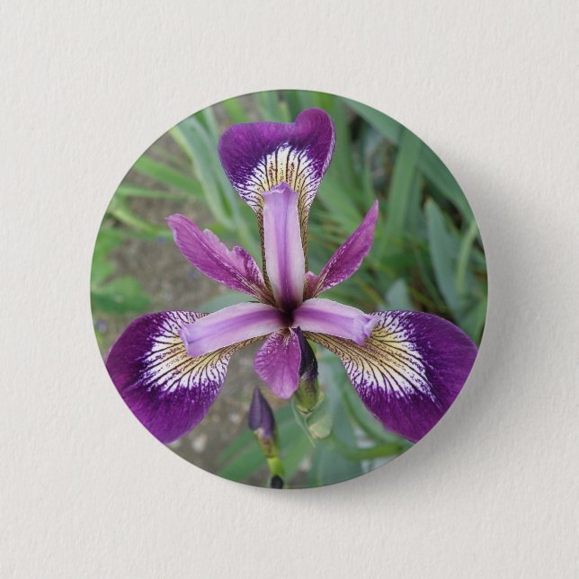 Macaron Rond 5 Cm Bouton Iris violet (Devant)