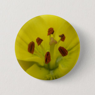 Macaron Rond 5 Cm Bouton jaune Lily Floral