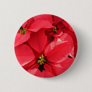 Macaron Rond 5 Cm Bouton Joyeux Fête_