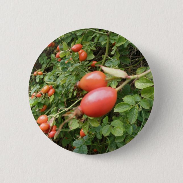 Macaron Rond 5 Cm Bouton Juicy Red Rose Hips (Devant)