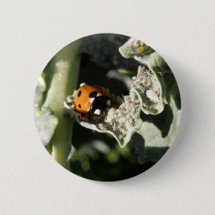 Macaron Rond 5 Cm Bouton Ladybug à 7 emplacements britannique