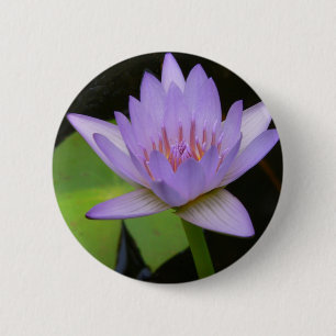 Macaron Rond 5 Cm Bouton, Lavande Douce Lavande D'Eau 300