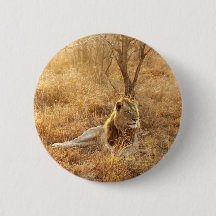 Bouton Lion