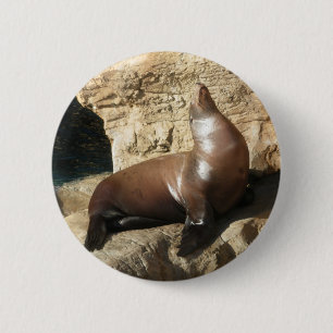 Macaron Rond 5 Cm Bouton Lion de mer