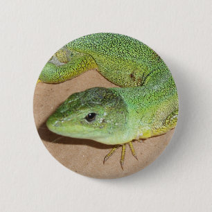 Macaron Rond 5 Cm Bouton Lizard