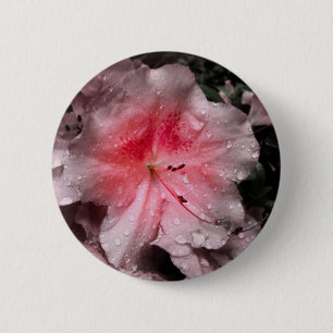 Macaron Rond 5 Cm Bouton Luminosité interne