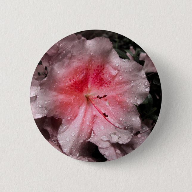 Macaron Rond 5 Cm Bouton Luminosité interne (Devant)