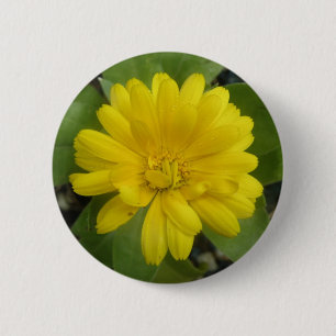 Macaron Rond 5 Cm Bouton Marigold jaune vif