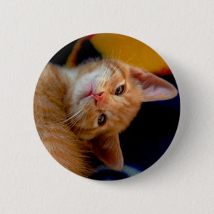 Macaron Rond 5 Cm Bouton mignon de chaton