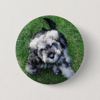 Macaron Rond 5 Cm Bouton miniature de chiot de Schnuazer