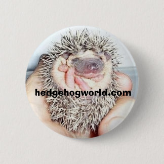 Macaron Rond 5 Cm bouton minuscule de boule de bébé