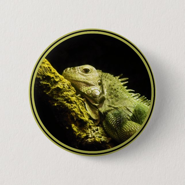 Macaron Rond 5 Cm Bouton noble d'iguane (Devant)