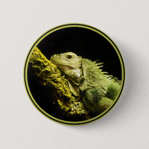 Macaron Rond 5 Cm Bouton noble d'iguane