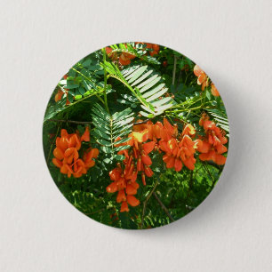 Macaron Rond 5 Cm Bouton OBX Scarlet Wisteria (Sesbania punicea)