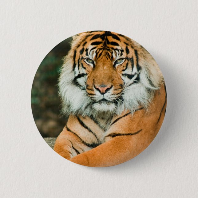 Macaron Rond 5 Cm Bouton orange de tigre (Devant)