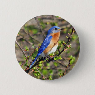 Macaron Rond 5 Cm Bouton oriental d'oiseau bleu