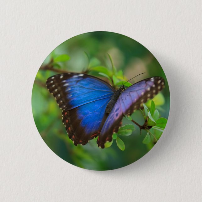 Macaron Rond 5 Cm Bouton Papillon bleu Morpho (Devant)