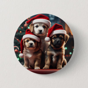 Macaron Rond 5 Cm Bouton Paquets