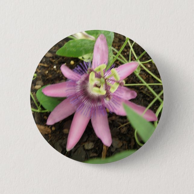 Macaron Rond 5 Cm Bouton Passionflower rose et violet (Devant)