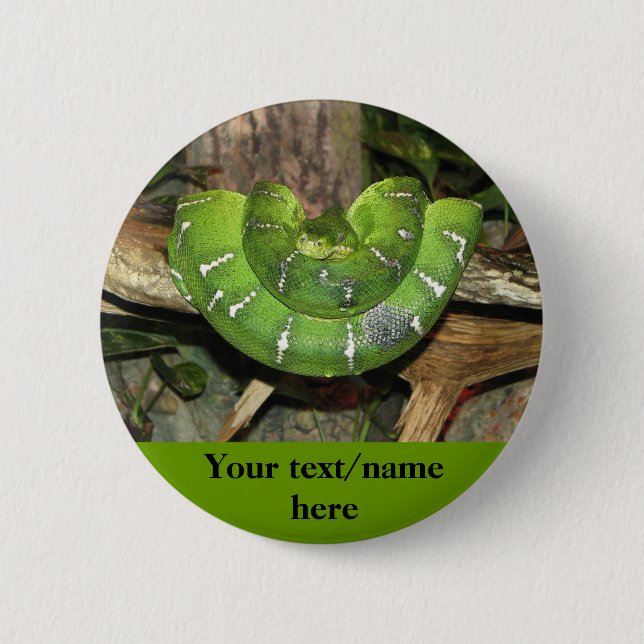 Macaron Rond 5 Cm Bouton personnalisé de serpent vert (Devant)