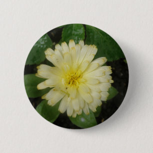 Macaron Rond 5 Cm Bouton Petit Marigold Jaune