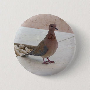 Macaron Rond 5 Cm Bouton Pigeon