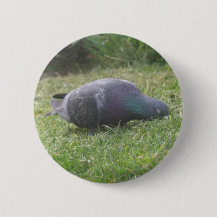 Macaron Rond 5 Cm Bouton Pigeon dormant