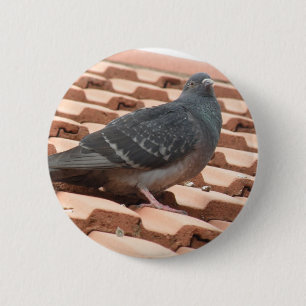 Macaron Rond 5 Cm Bouton pigeon sur le toit