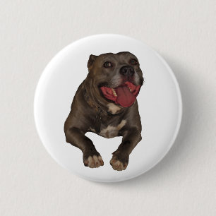 Macaron Rond 5 Cm Bouton Pitbull du noeud bleu